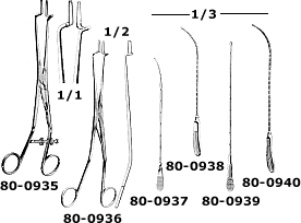 p80.gif (12250 bytes)