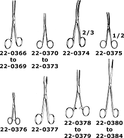 p22.gif (13651 bytes)